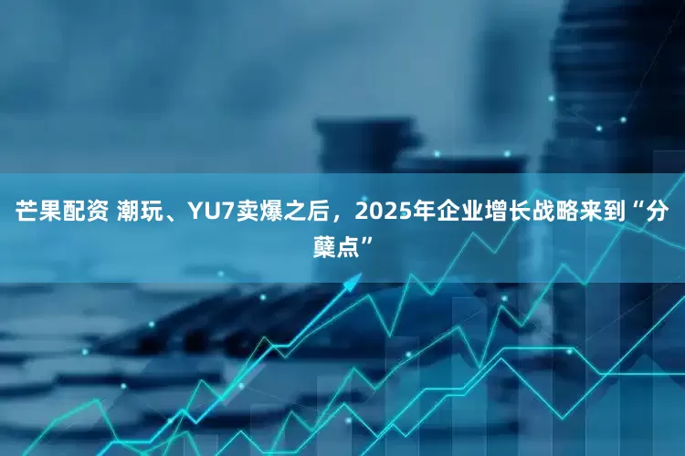 芒果配资 潮玩、YU7卖爆之后，2025年企业增长战略来到“分蘖点”