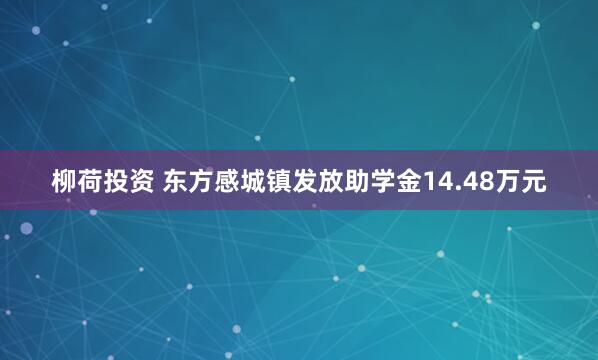柳荷投资 东方感城镇发放助学金14.48万元