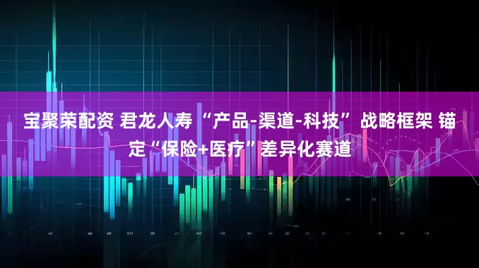 宝聚荣配资 君龙人寿 “产品-渠道-科技” 战略框架 锚定“保险+医疗”差异化赛道