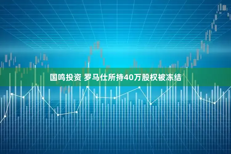 国鸣投资 罗马仕所持40万股权被冻结
