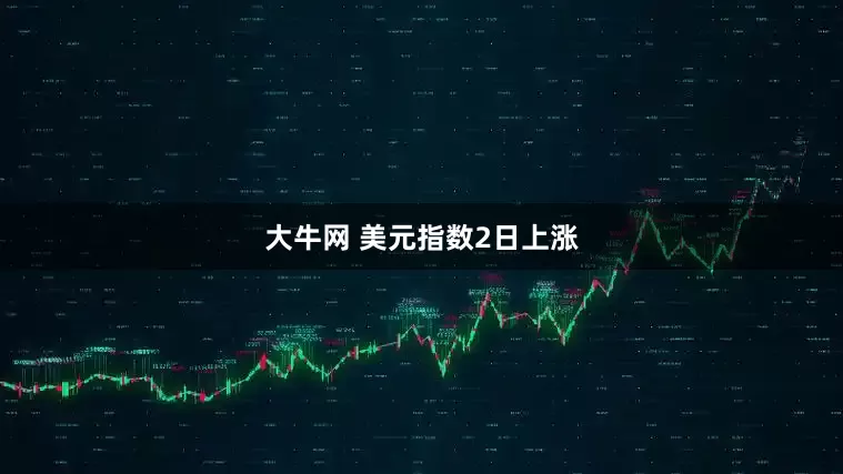 大牛网 美元指数2日上涨