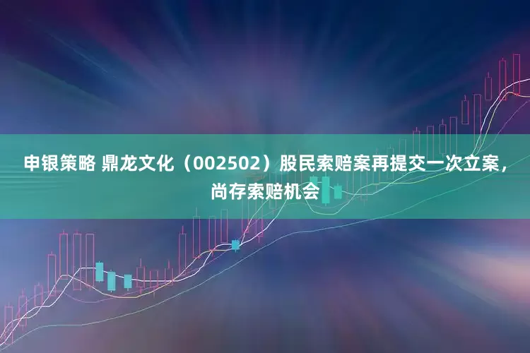 申银策略 鼎龙文化（002502）股民索赔案再提交一次立案，尚存索赔机会