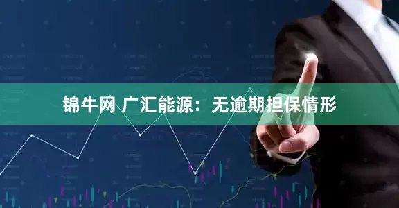 锦牛网 广汇能源：无逾期担保情形