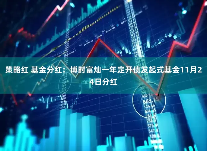 策略红 基金分红：博时富灿一年定开债发起式基金11月24日分红